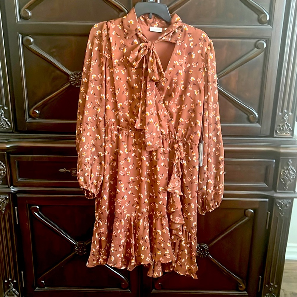 NWT Eva Mendes dress from New York & Company